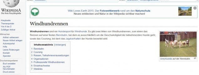 Windhundrennen – Wikipedia