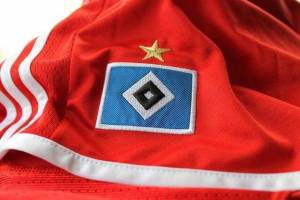 Der HSV hat übrigens auch das einzige nahezu unveränderte Wappen seit Gründung in der Bundesliga